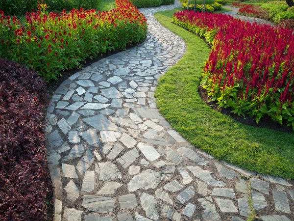 Pathway,In,The,Park